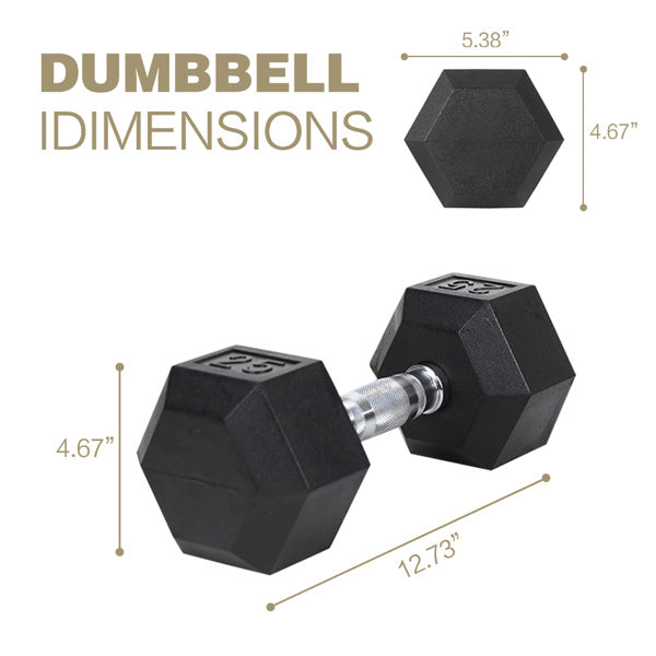 20LB Solid Cast Iron Dumbbells – 2 HDRS Rubber-Coated Hand Weights for Strength Training